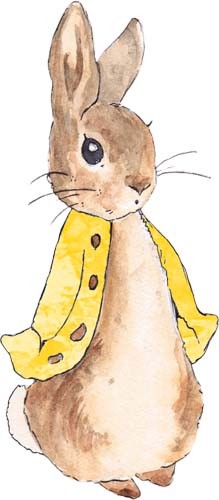 Peter rabbit watercolour - rabbit, wall