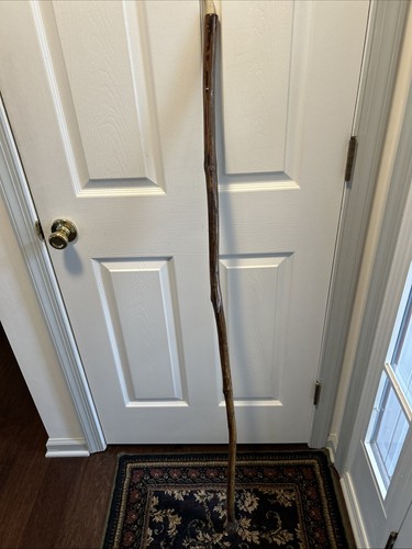 Homemade walking stick - homemade, very