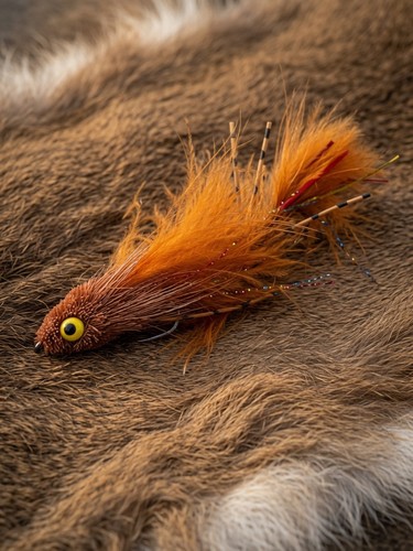 Copper penny trout - x3,