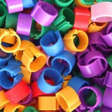 20 x 8mm Chick Leg Rings /