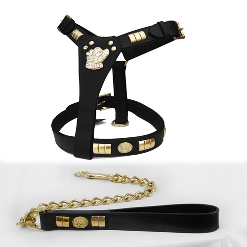 Leather dog harness - dog,