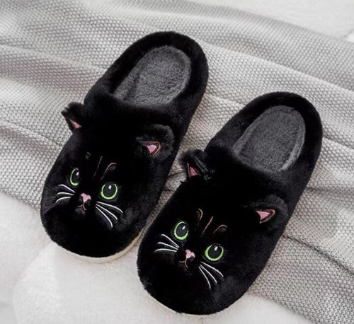 Boy girl cat - cat, fluffy