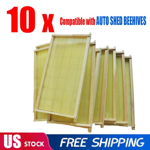 Bee hive frames - frames,
