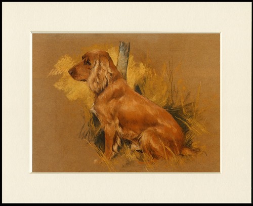Cocker spaniel dog art print - dog,