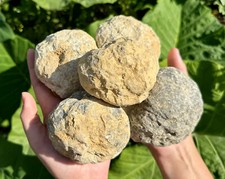JUMBO Break Your Own Geodes