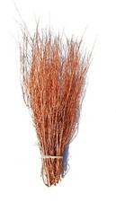 Birch/Twigs/Branches/Trees/Dec