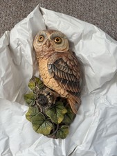 Bossons Congleton Owl Wall