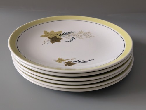 Vintage burleigh ware - x,