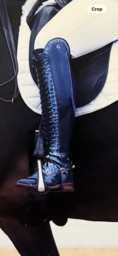 Gallor laurel laced dressage - laurel,