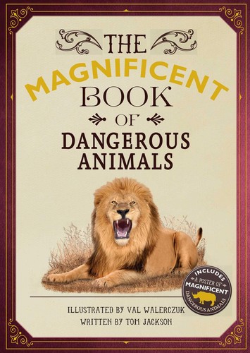 The magnificent book - the,