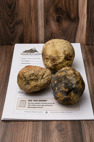 Unopened kentucky geodes - 3,