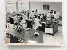 Dental School Students Phantom