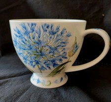 NEW ~DUNOON SKYE~ Agapanthus