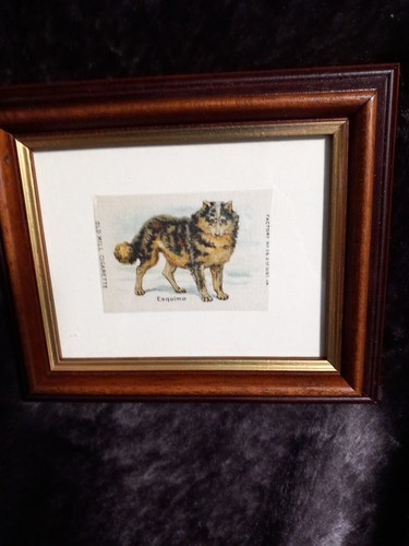Framed dog old mill cigarette - old,