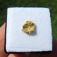 Rare Natural Crystallized Gold