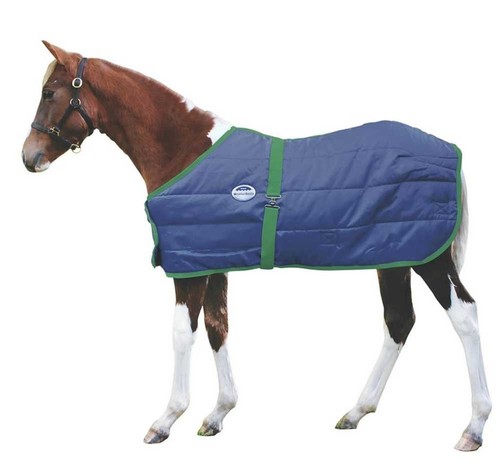 Weatherbeeta newborn foal - weatherbeeta,