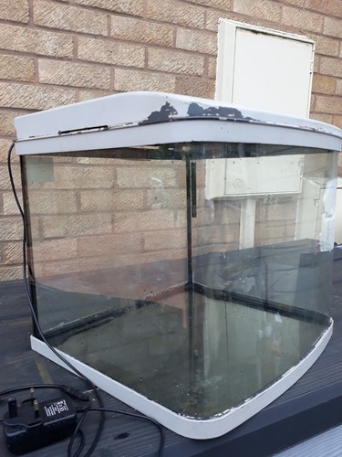 Glass fish tank - fish, with