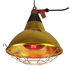 Infrared heat lamp - heat, reflector