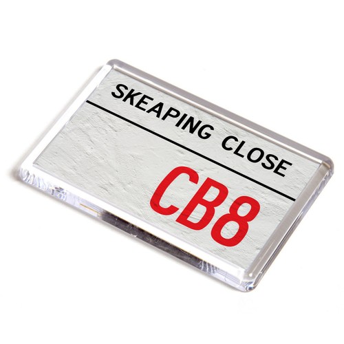 Fridge magnet skeaping close - magnet,