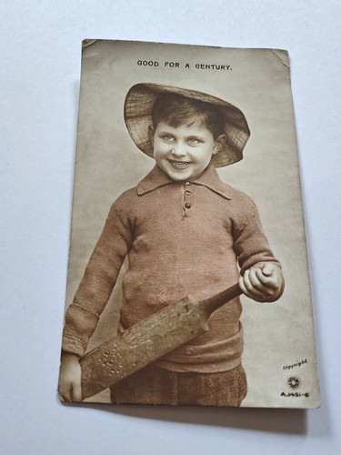 Postcard cricket rotary photo - cricket,