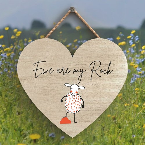 Sheep ewe are - my, cute