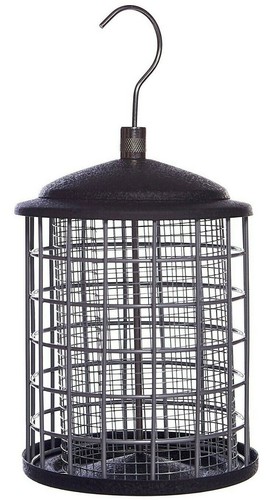 Metal bird peanut - bird,