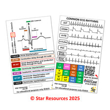 ECG Rhythms ID Badge Flash