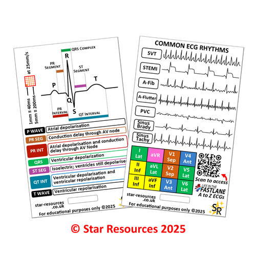 Ecg rhythms badge flash - rhythms,