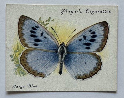 Player cigarettes british - player’s,