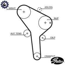 TIMING BELT 5564XS FOR SKODA