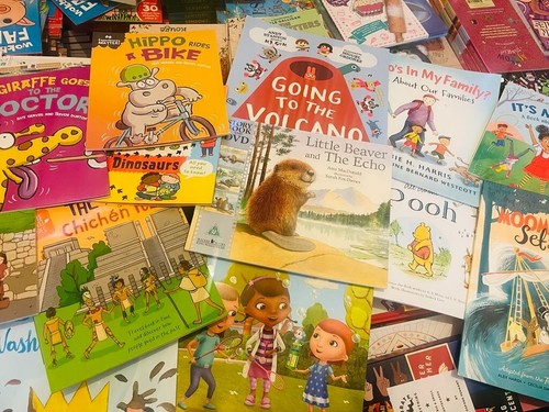 Childrens picture books - 25-30,