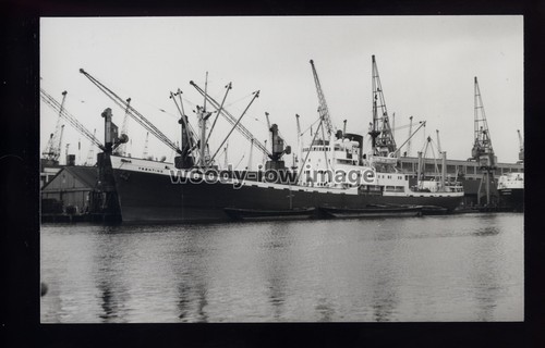 Gb3912 wilson line cargo - wilson,