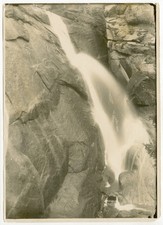 1907 Silver Print Elk Creek