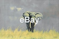 Only Fools and Horses Picture - Wise Old Elephant - OFAH David Shepherd Trotters