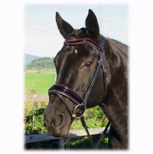 FSS Anatomic Bridle Freeway