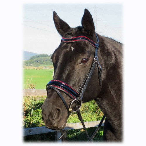 Fss anatomic bridle freeway - bridle,