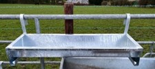 Foot cattle sheep - ', horse