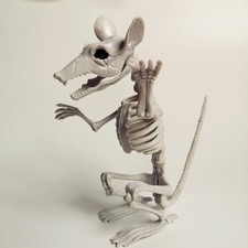 ✈Halloween Animal Skeleton