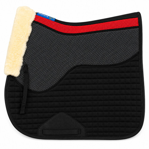 Horse english quilted - horse,