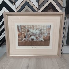 Paul Doyle - Peek a Boo FRAMED limited edition print