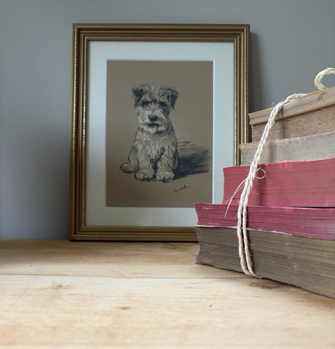 Vintage framed terrier dog - a,
