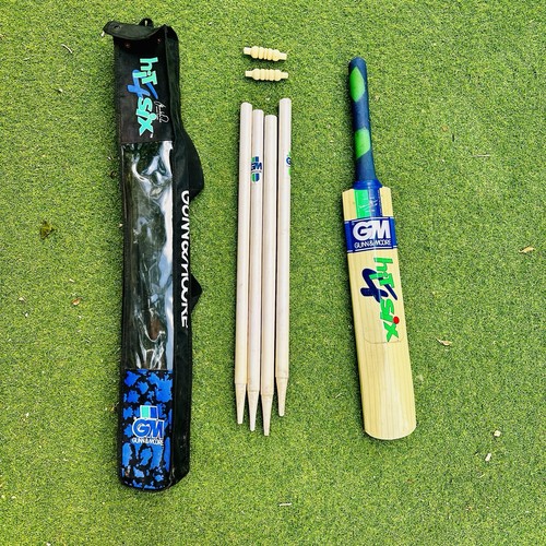 Hit six cricket - six,