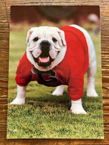 Postcard uga university of - postcard, (university