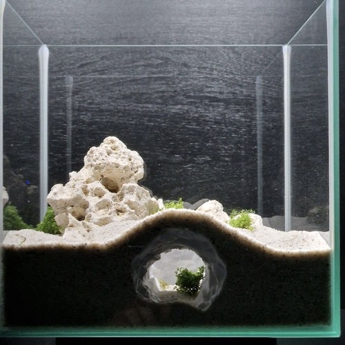 Aquarium undersea tunnel - undersea,