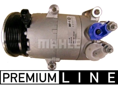 Mahle acp 310 000p - acp,