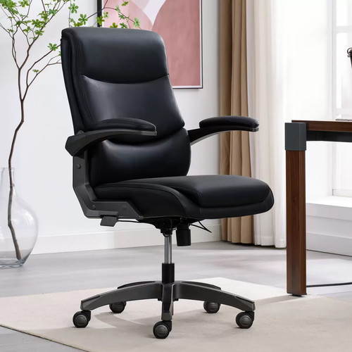 Boy managers office chair - z,