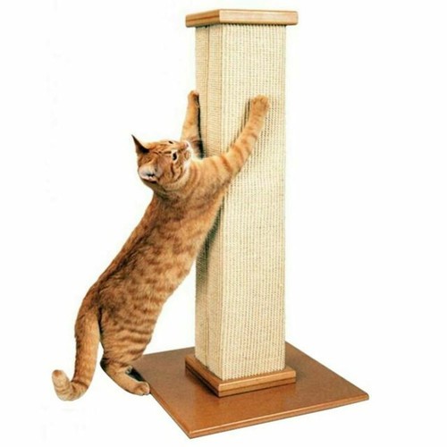 Smart cat the ultimate - smart,