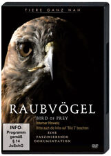 RAUBVÖGEL Bird Of Prey -