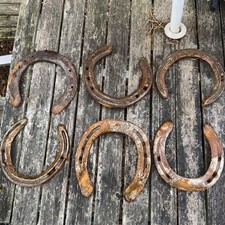 Used Lucky Horseshoe Weddings Good Luck Symbol, Rustic Charm Genuine 