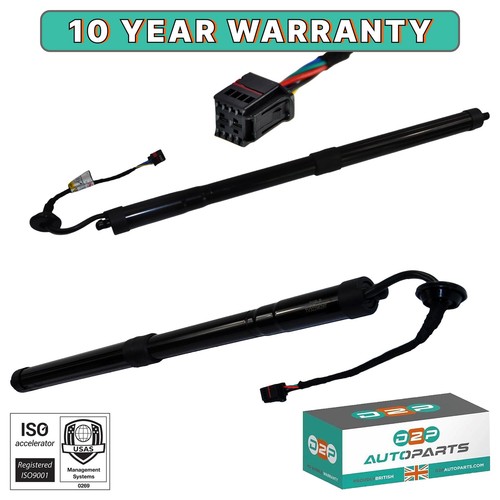 Electric tailgate gas - tailgate,